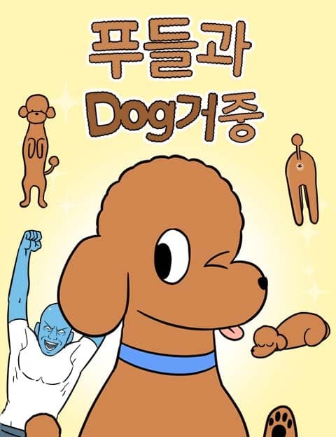 푸들과 Dog거중 (Living with a Poodle)