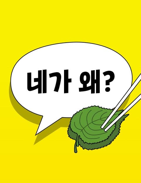 2022 그걸 네가 왜! (2022: Why Would You Do That?!)