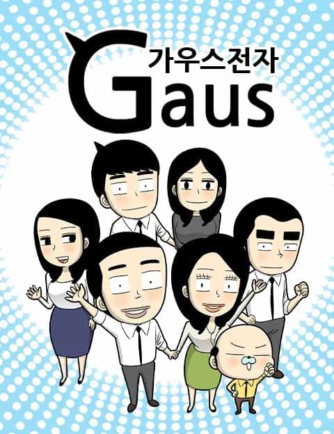 가우스전자 (Gauss Electronics)