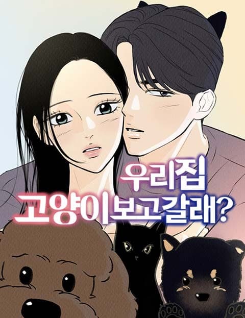 우리 집 고양이 보고 갈래? (Want to Come See My Cat?)