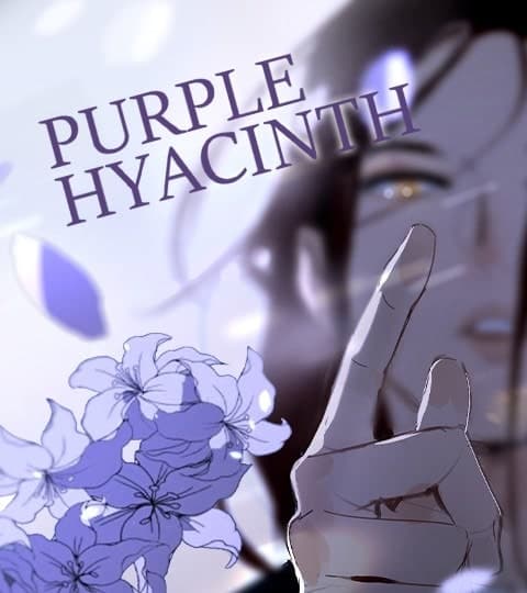 Purple Hyacinth